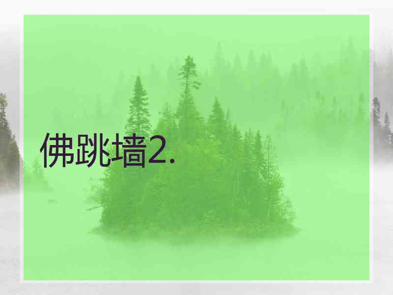 佛跳墙2.