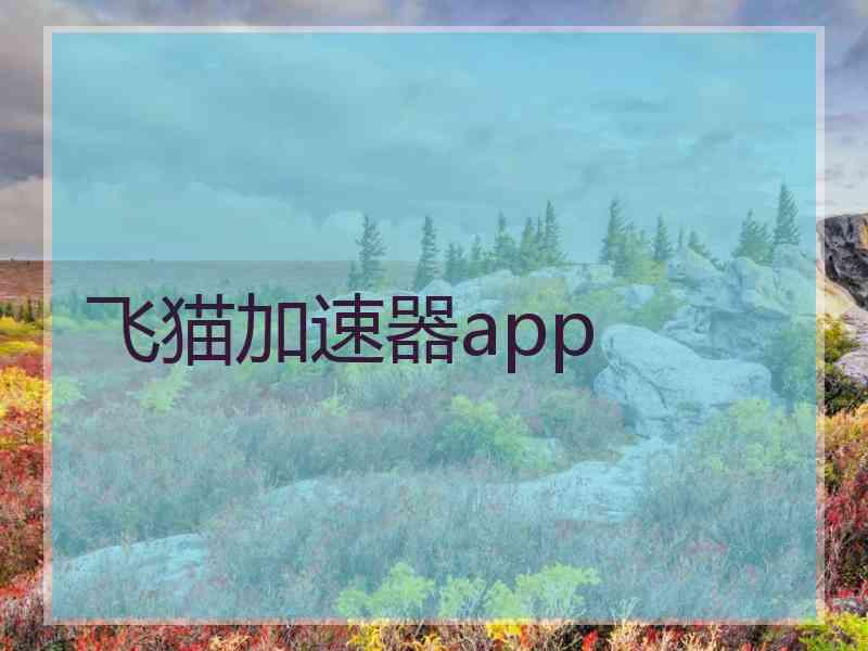 飞猫加速器app