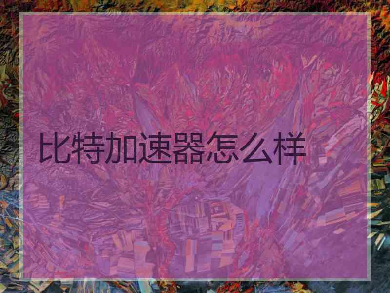 比特加速器怎么样