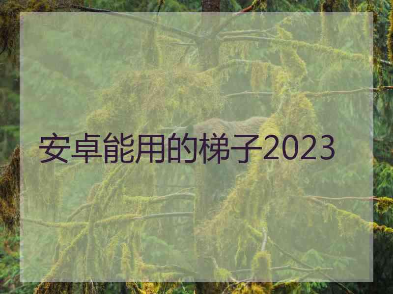 安卓能用的梯子2023