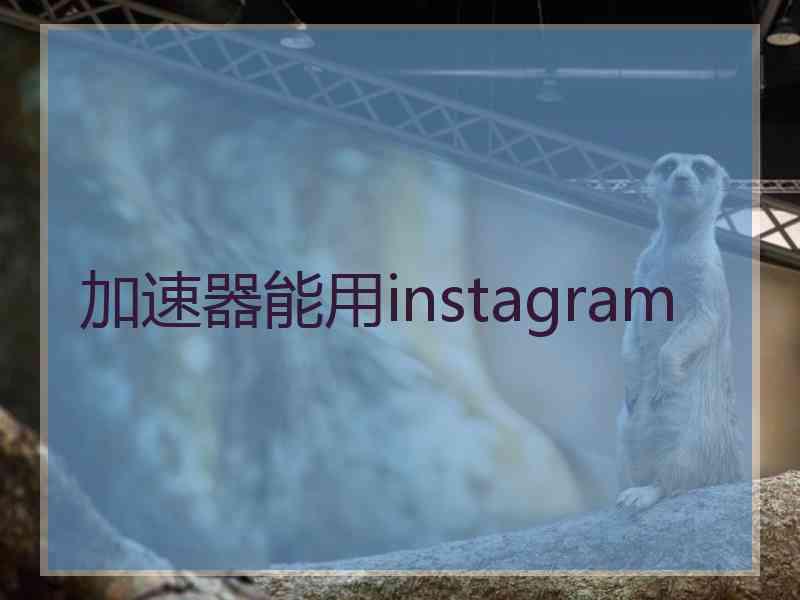 加速器能用instagram