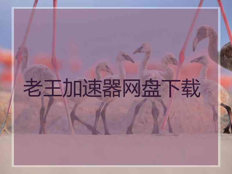 老王加速器网盘下载