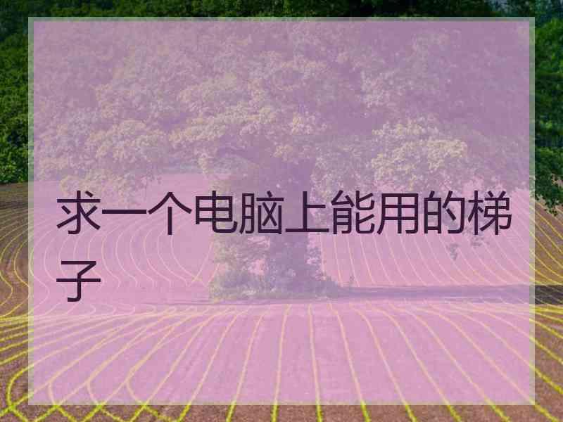 求一个电脑上能用的梯子