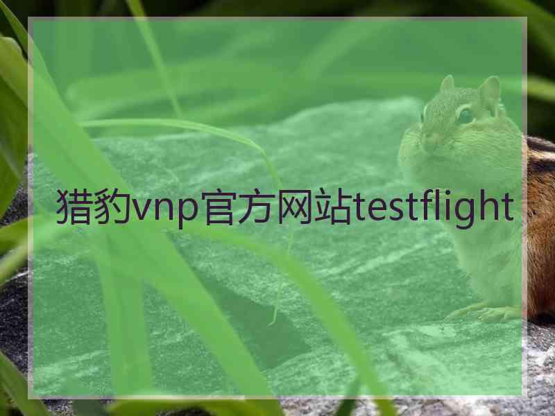 猎豹vnp官方网站testflight