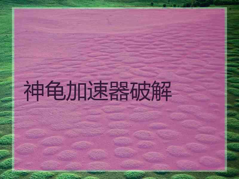 神龟加速器破解