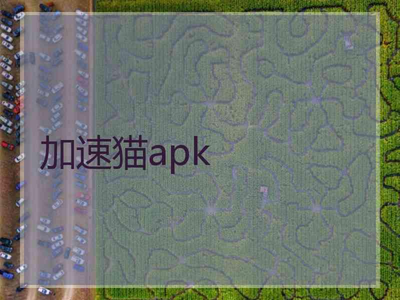 加速猫apk