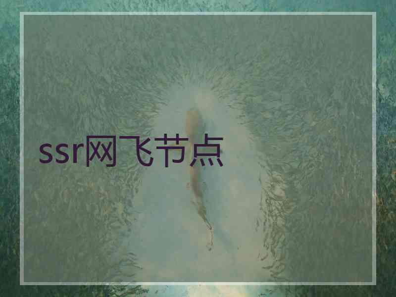 ssr网飞节点