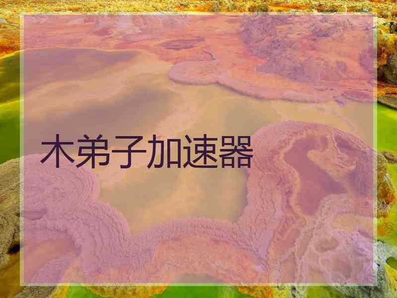 木弟子加速器