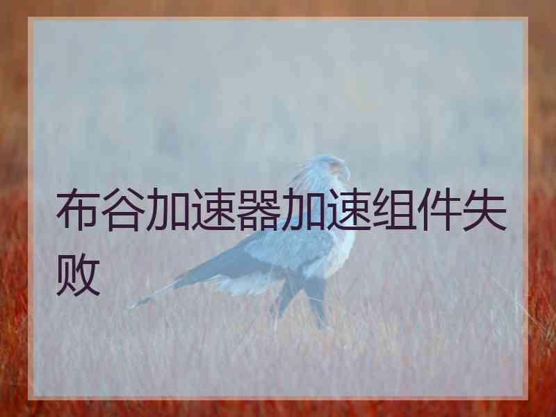 布谷加速器加速组件失败