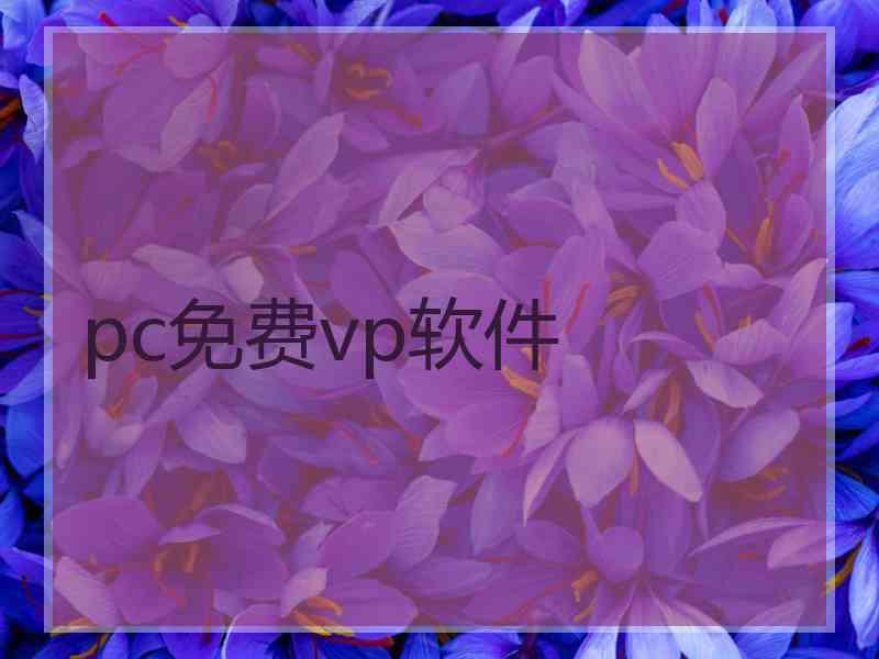pc免费vp软件