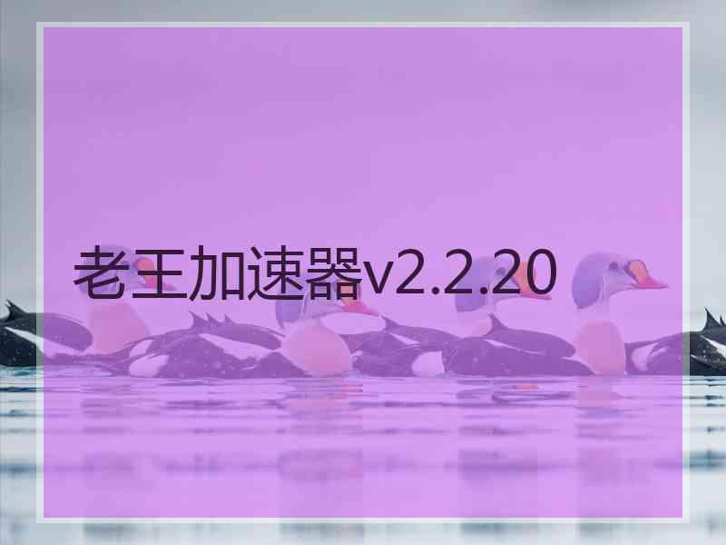 老王加速器v2.2.20