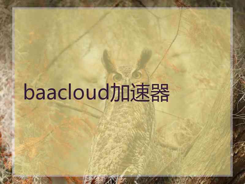 baacloud加速器