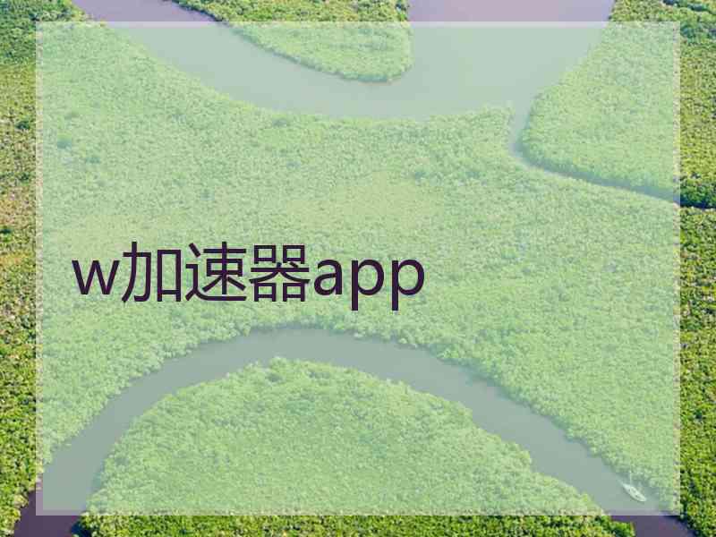 w加速器app