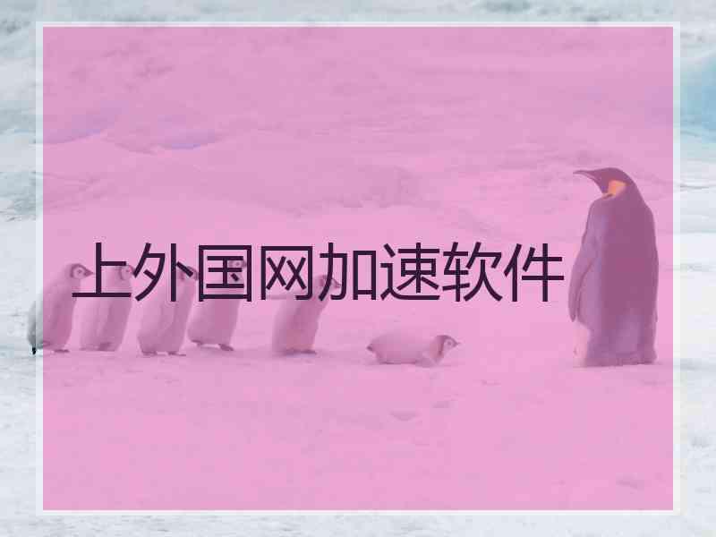 上外国网加速软件