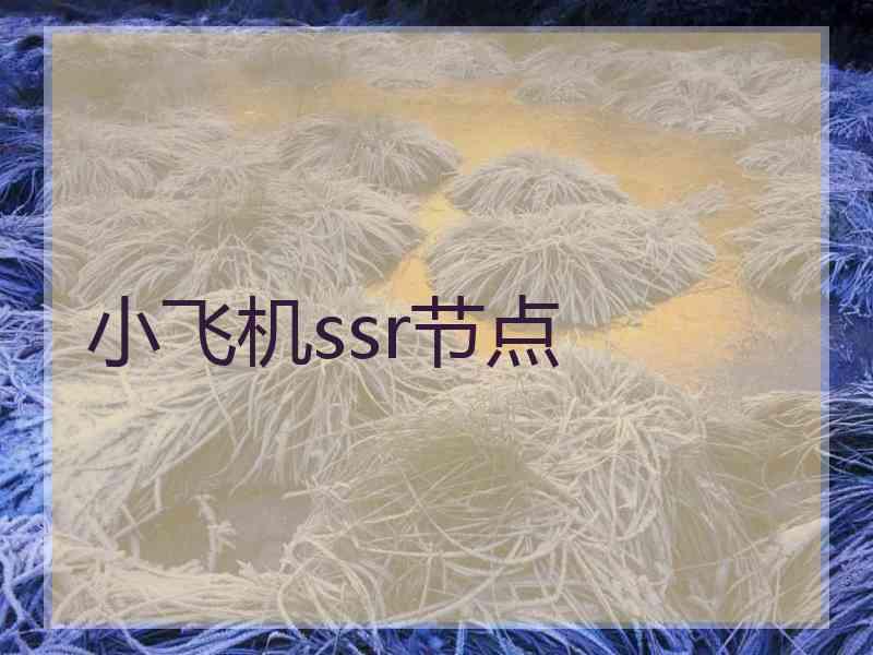 小飞机ssr节点