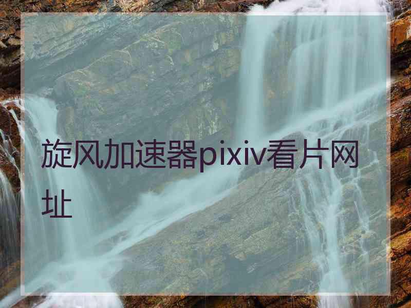 旋风加速器pixiv看片网址