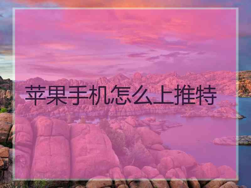 苹果手机怎么上推特