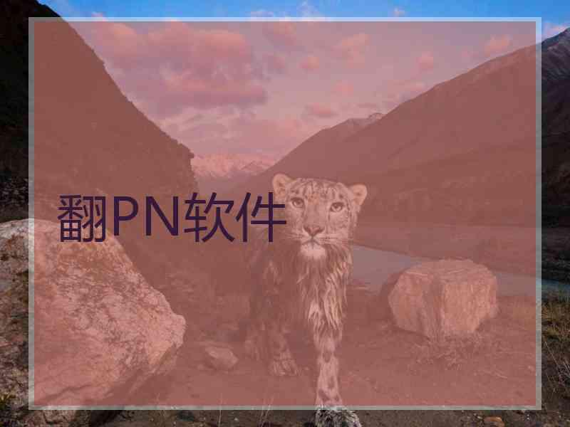 翻PN软件