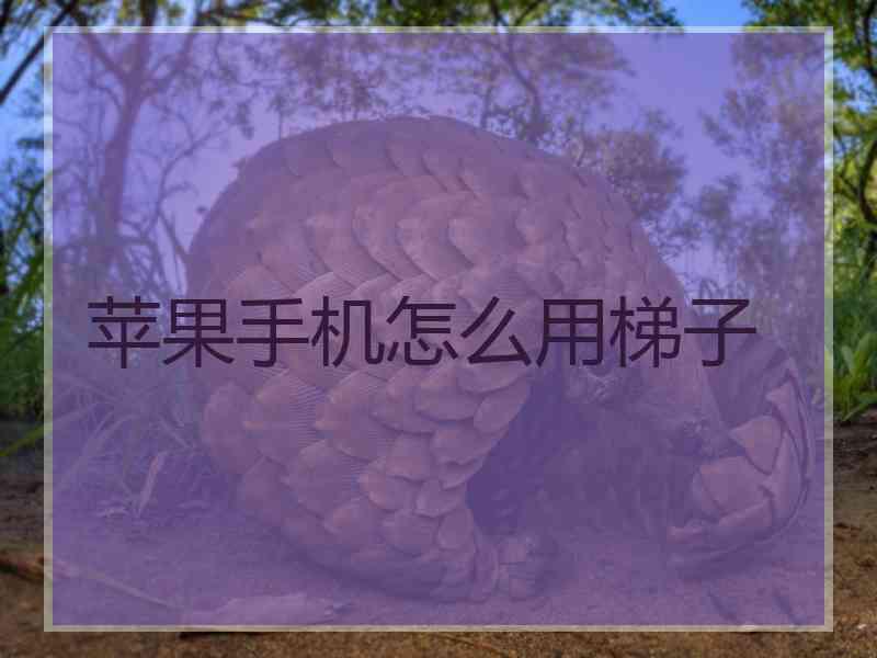 苹果手机怎么用梯子