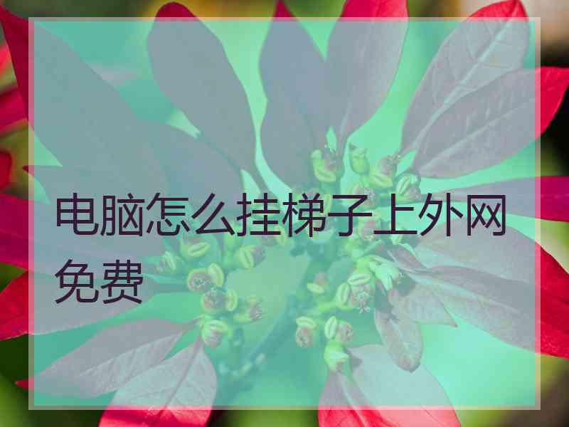电脑怎么挂梯子上外网免费