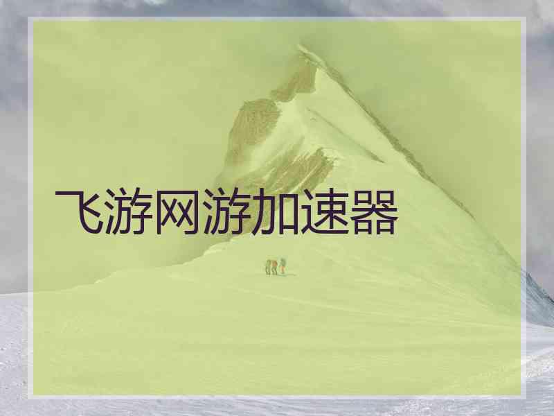 飞游网游加速器