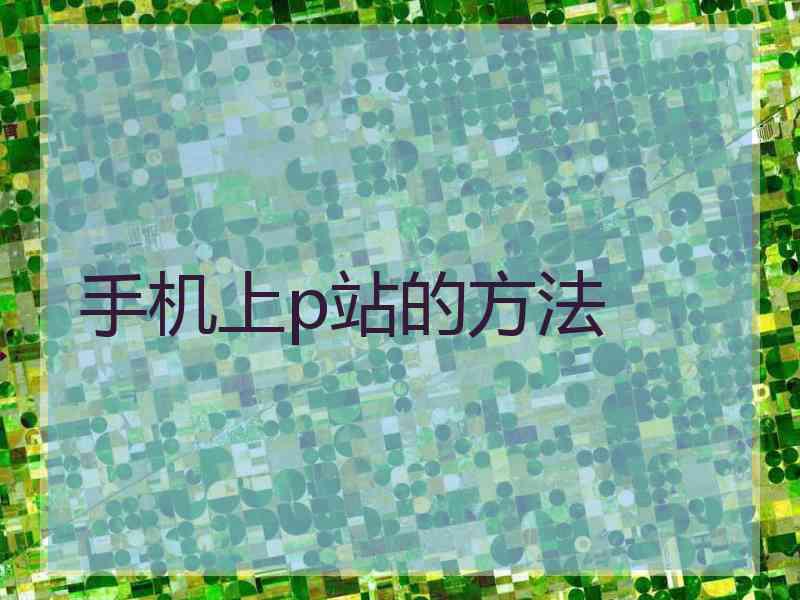 手机上p站的方法