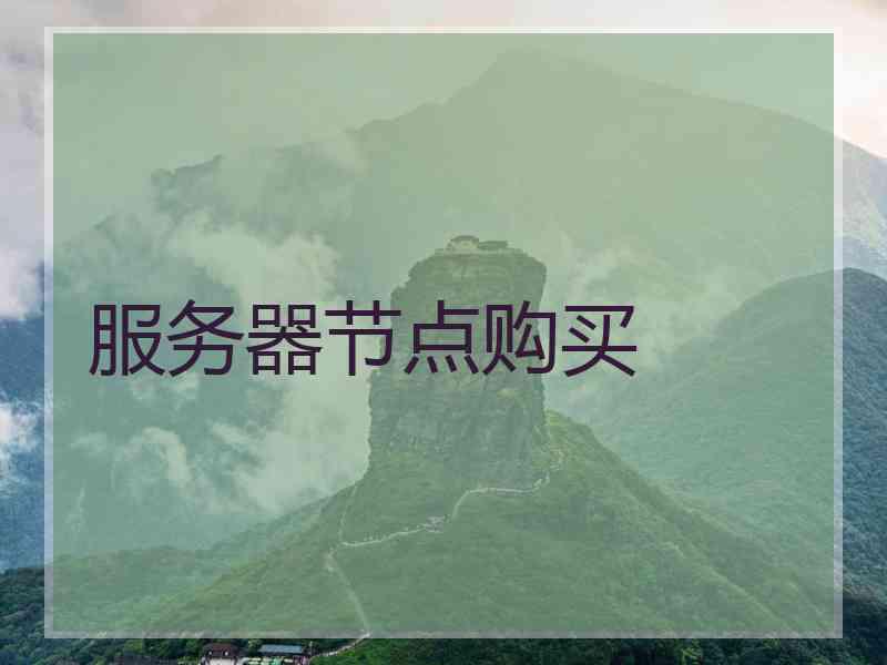 服务器节点购买
