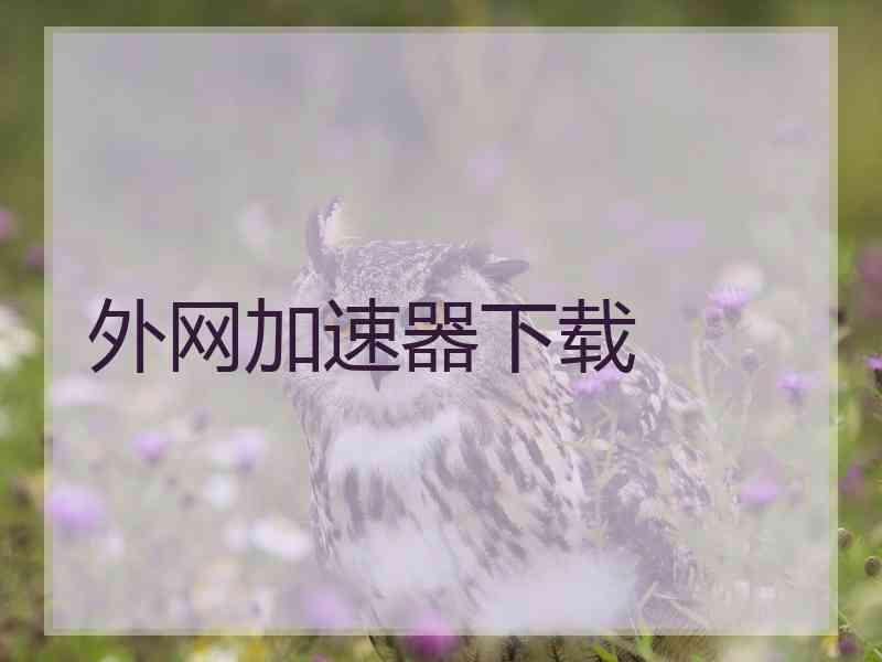 外网加速器下载