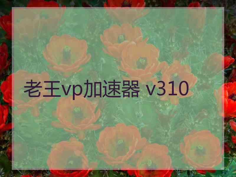 老王vp加速器 v310