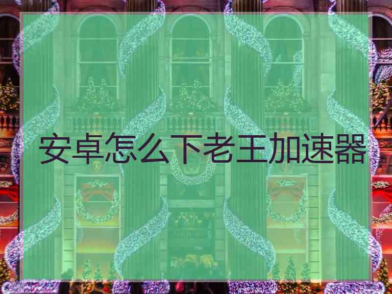 安卓怎么下老王加速器