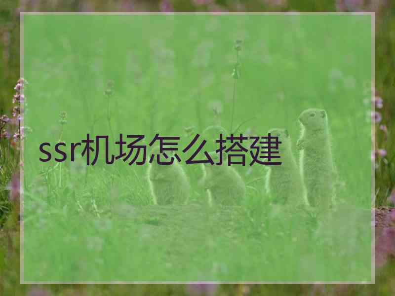 ssr机场怎么搭建
