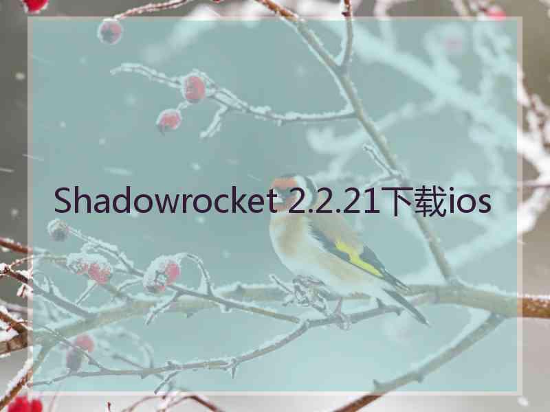 Shadowrocket 2.2.21下载ios