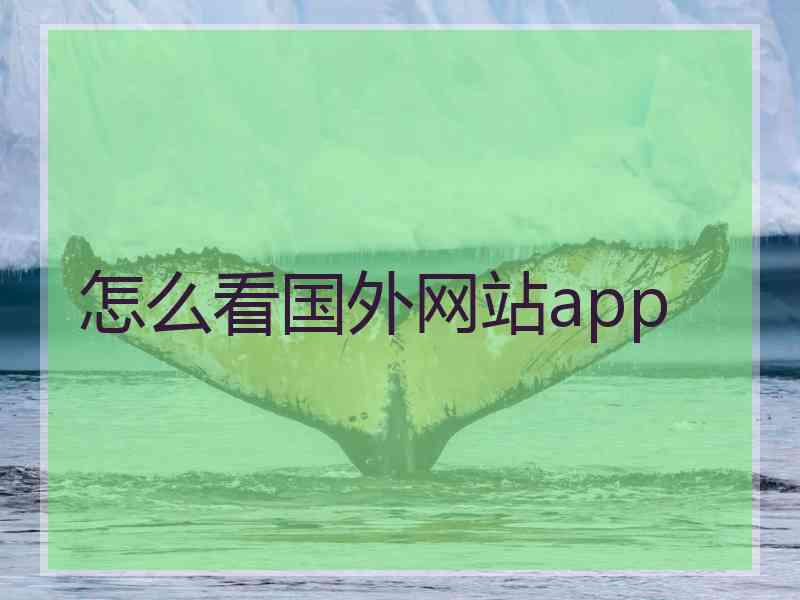 怎么看国外网站app