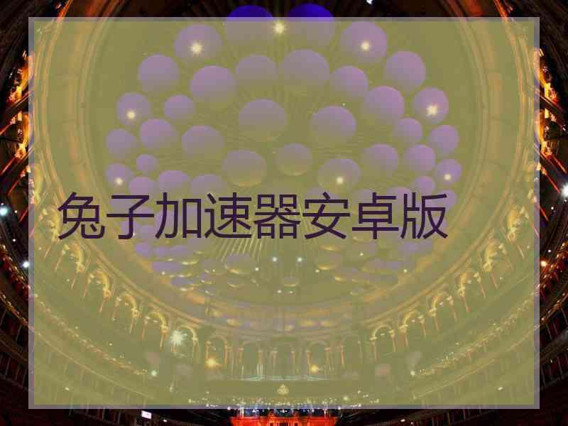 兔子加速器安卓版