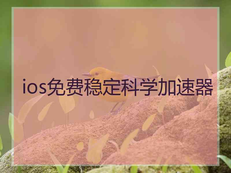 ios免费稳定科学加速器