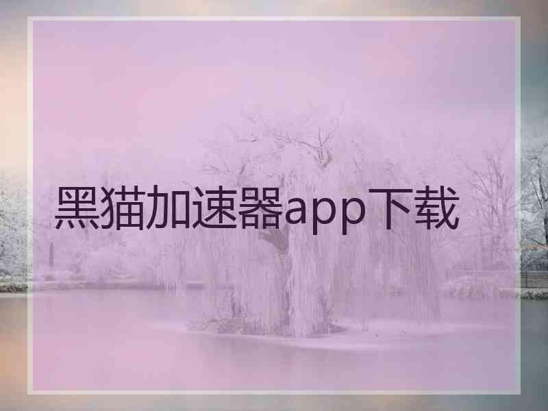 黑猫加速器app下载