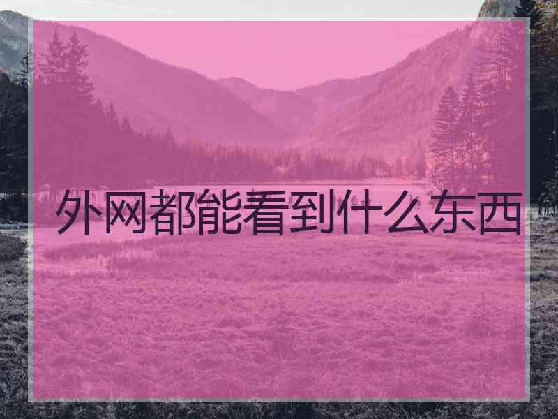 外网都能看到什么东西