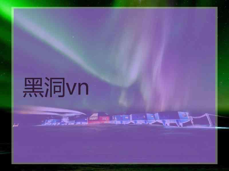 黑洞vn