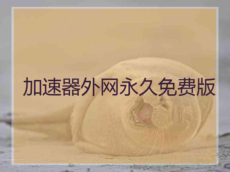 加速器外网永久免费版