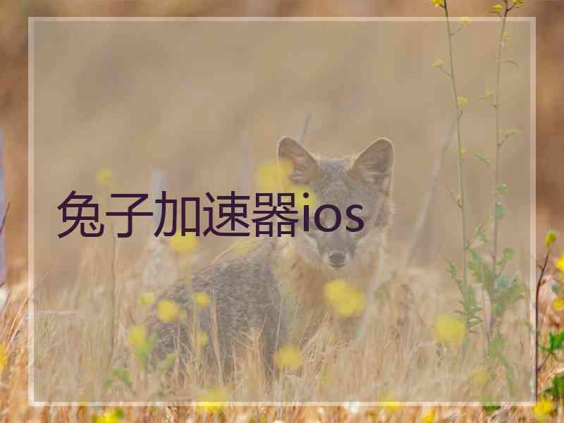 兔子加速器ios