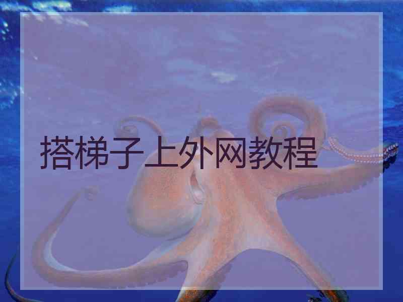 搭梯子上外网教程