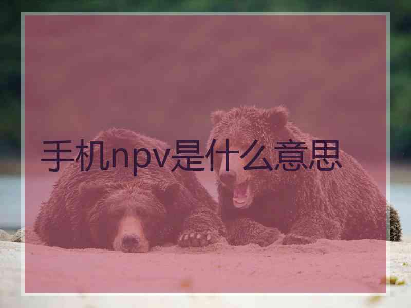 手机npv是什么意思