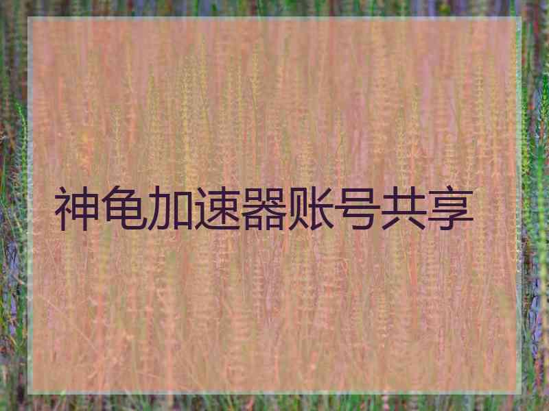 神龟加速器账号共享