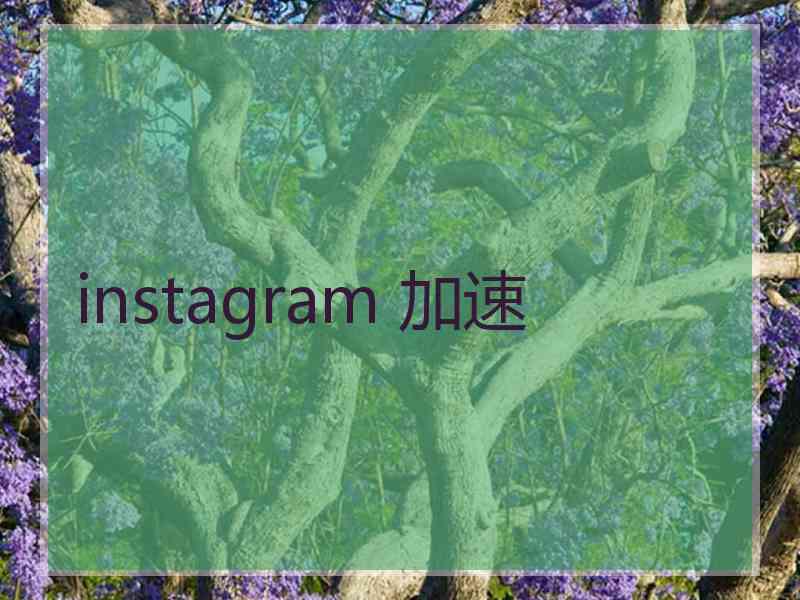 instagram 加速