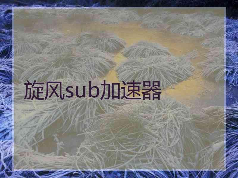 旋风sub加速器