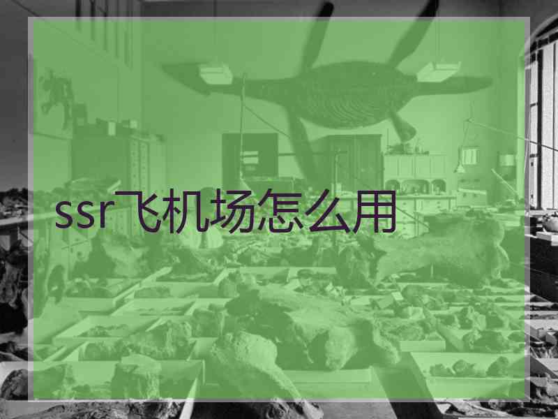 ssr飞机场怎么用