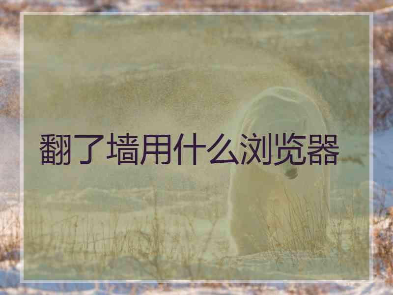 翻了墙用什么浏览器