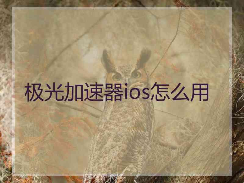 极光加速器ios怎么用