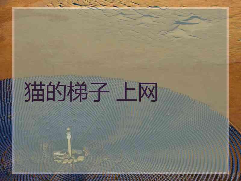 猫的梯子 上网