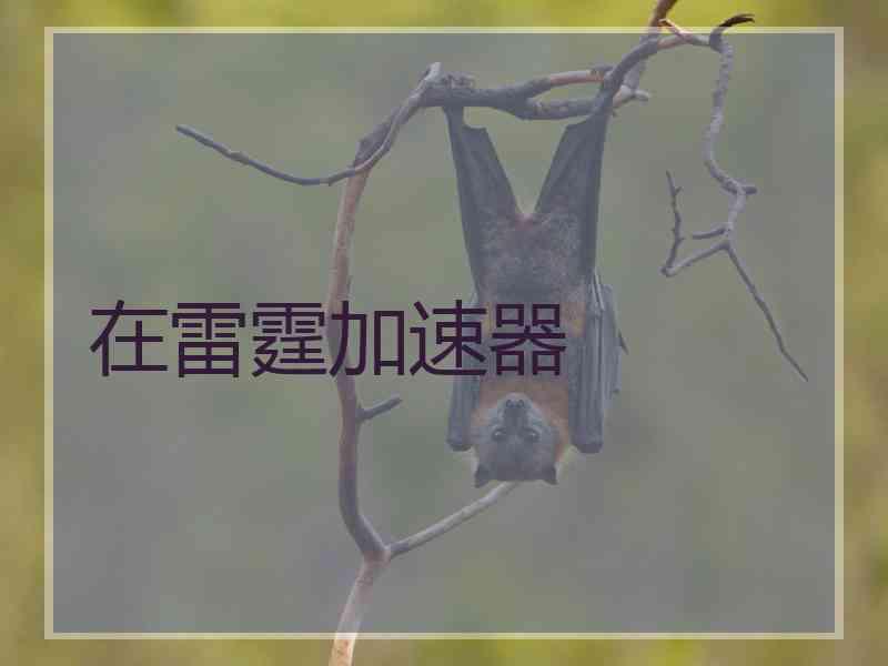 在雷霆加速器